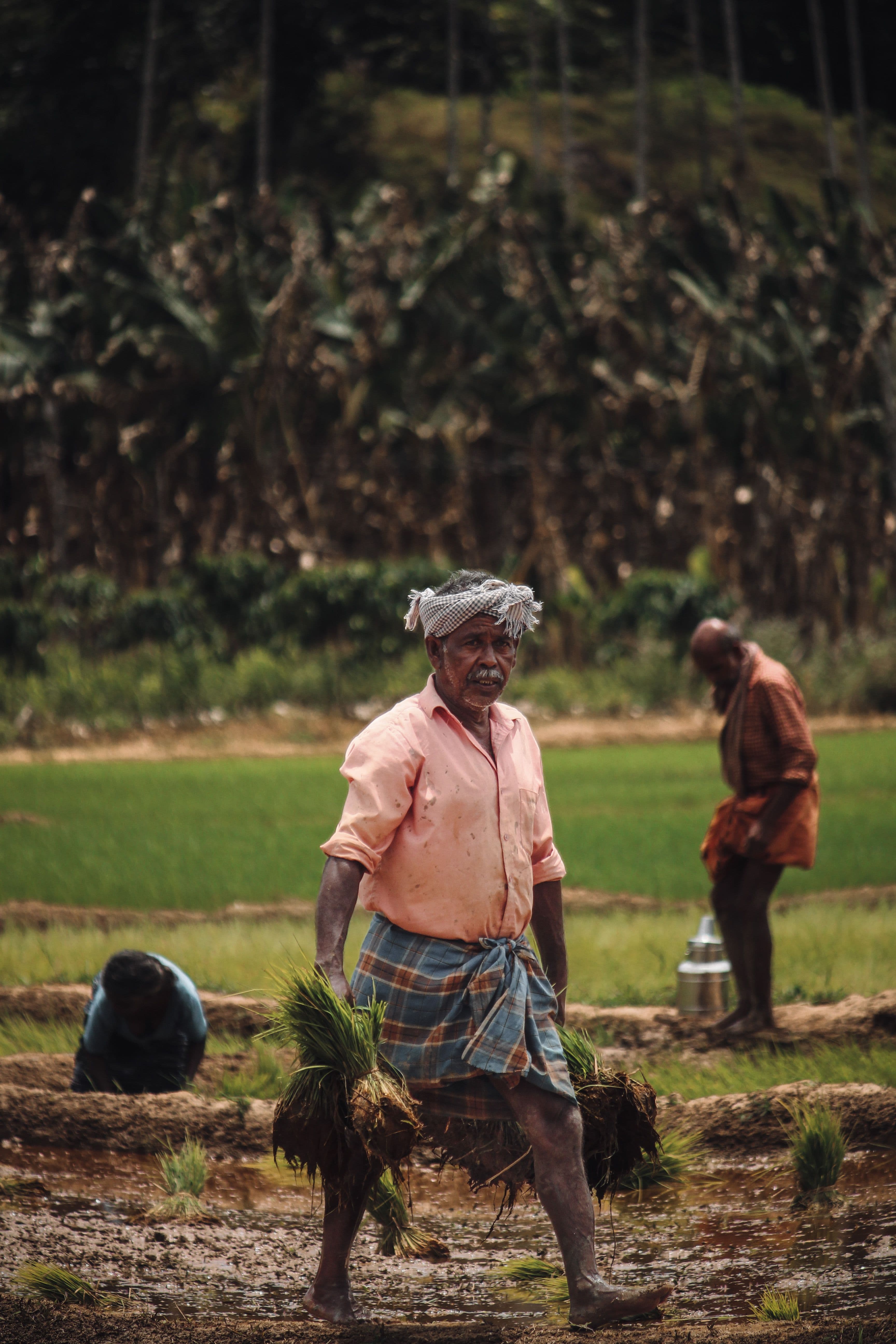 Petani Modern LoopTani